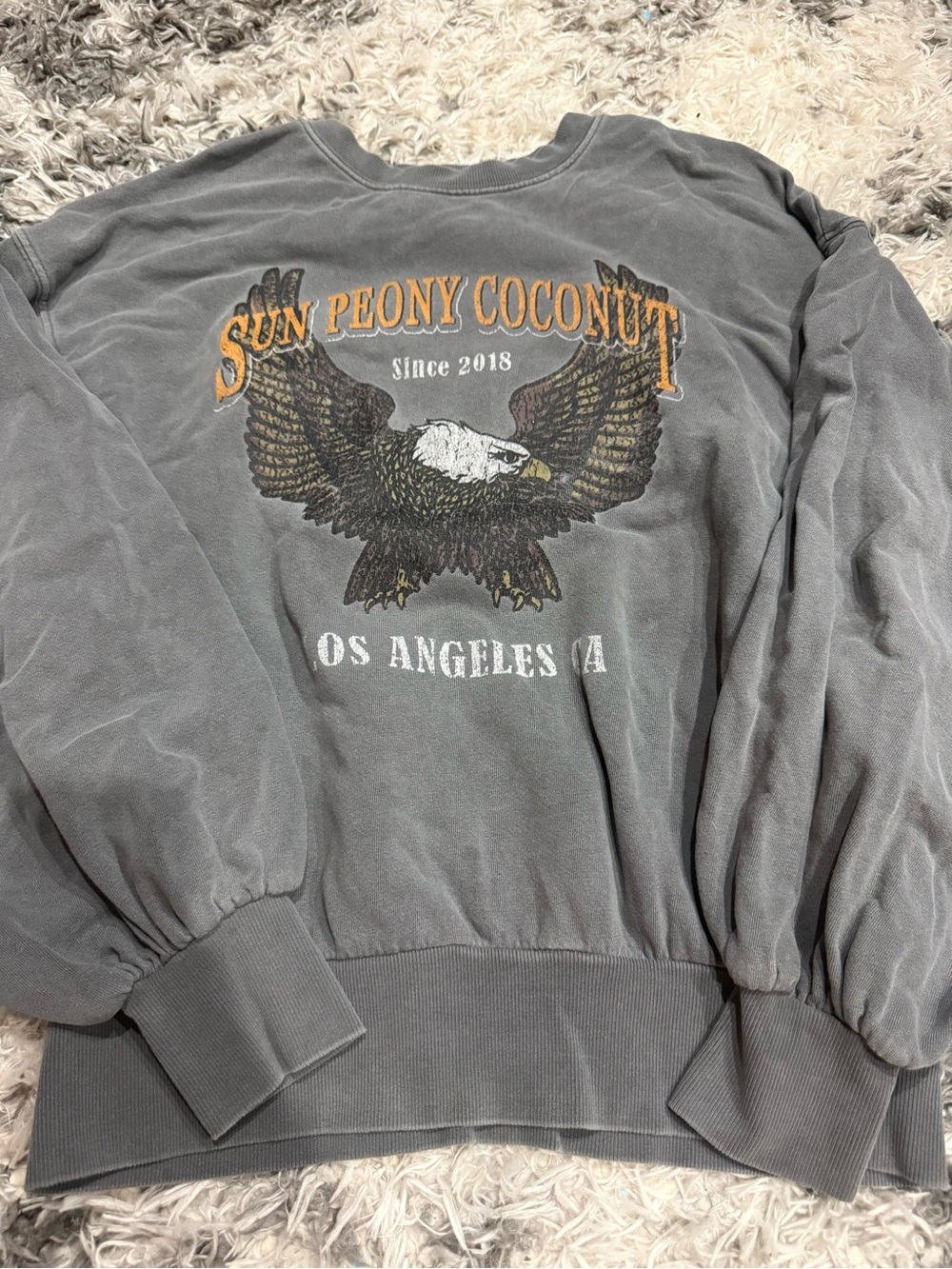 Women's Oversized Gray Graphic Eagle Sweatshirt Size XS